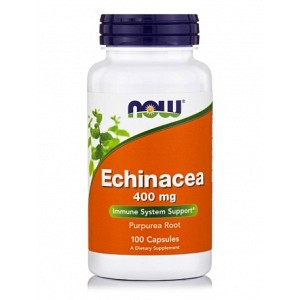 Echinacea 400mg - 100caps NOW Foods / Εχινάκεια